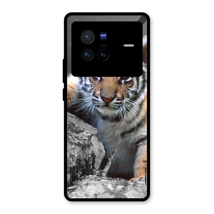 Animal Beauty Glass Back Case for Vivo X80