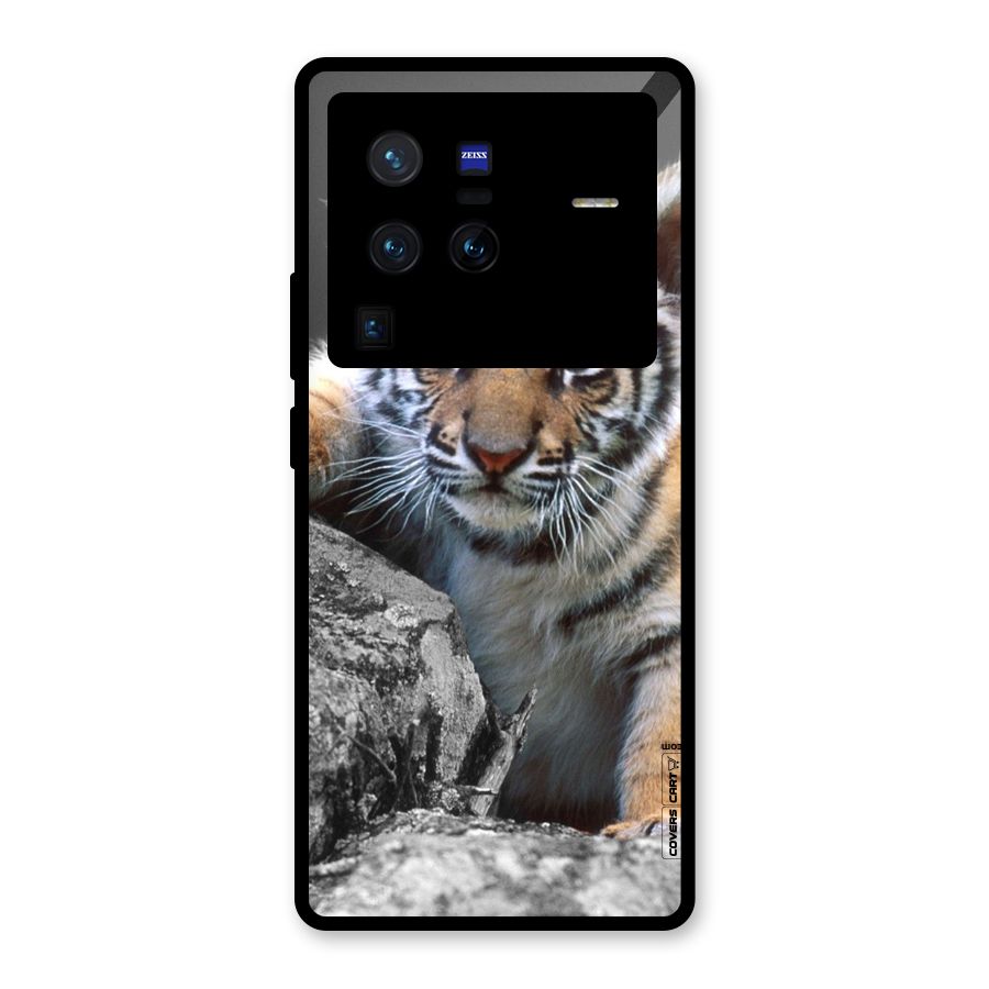 Animal Beauty Glass Back Case for Vivo X80 Pro