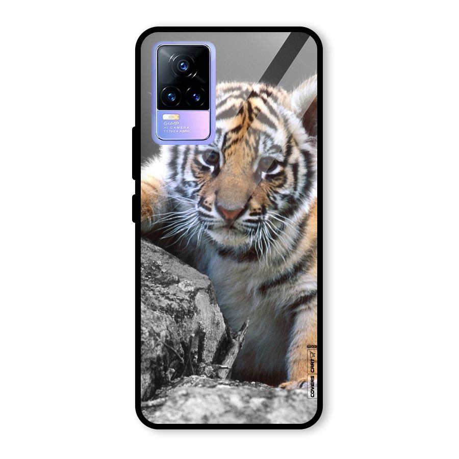 Animal Beauty Glass Back Case for Vivo Y73