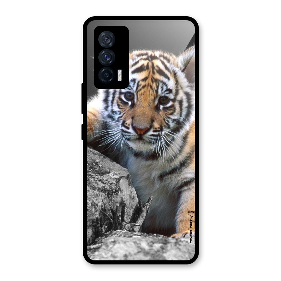 Animal Beauty Glass Back Case for Vivo iQOO 7 5G