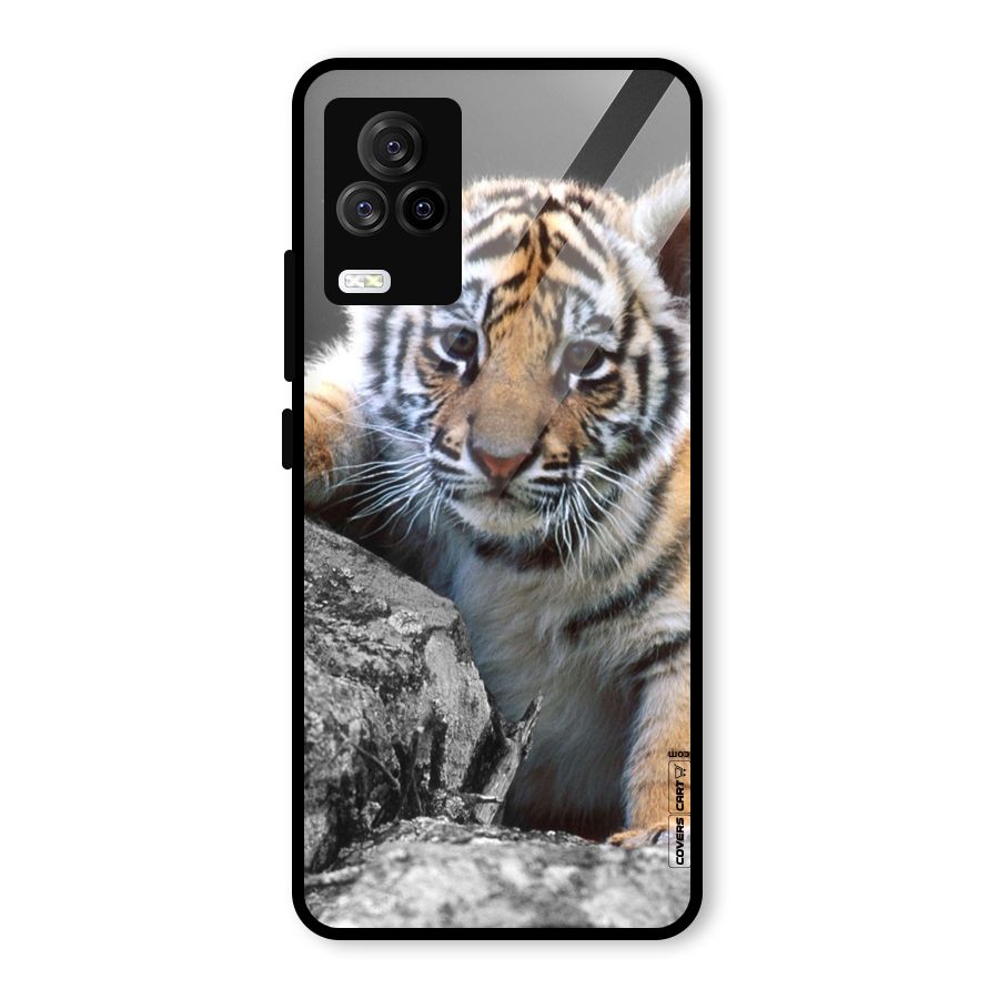 Animal Beauty Glass Back Case for Vivo iQOO 7 Legend 5G
