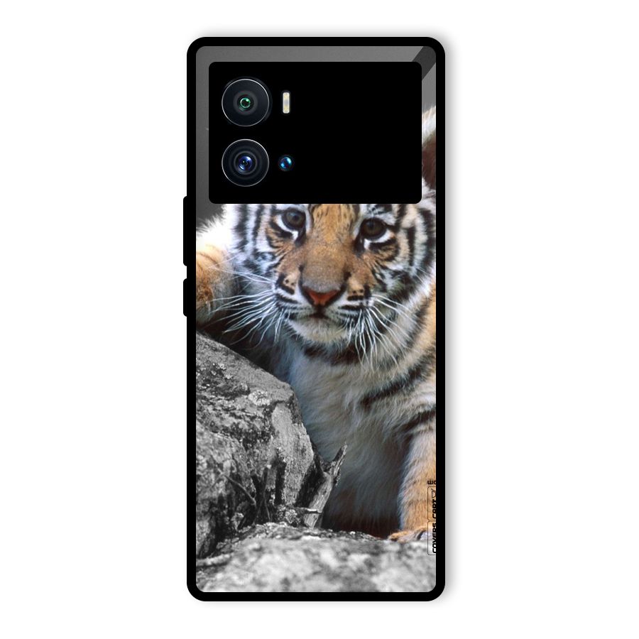 Animal Beauty Glass Back Case for Vivo iQOO 9 Pro