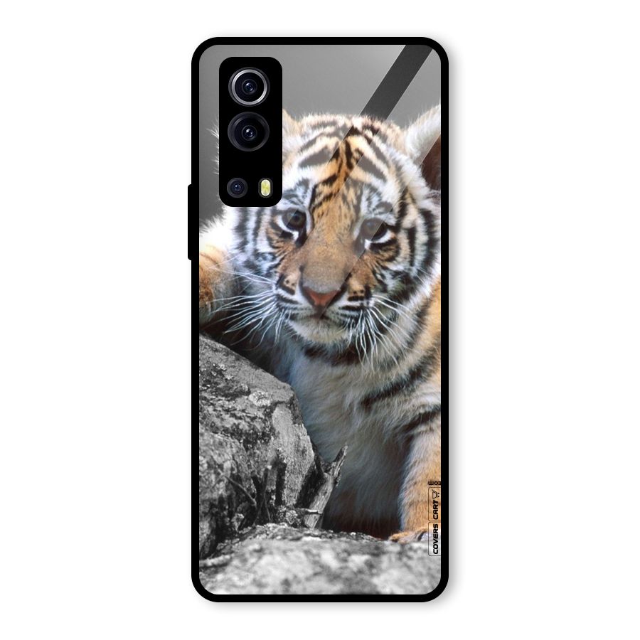 Animal Beauty Glass Back Case for Vivo iQOO Z3