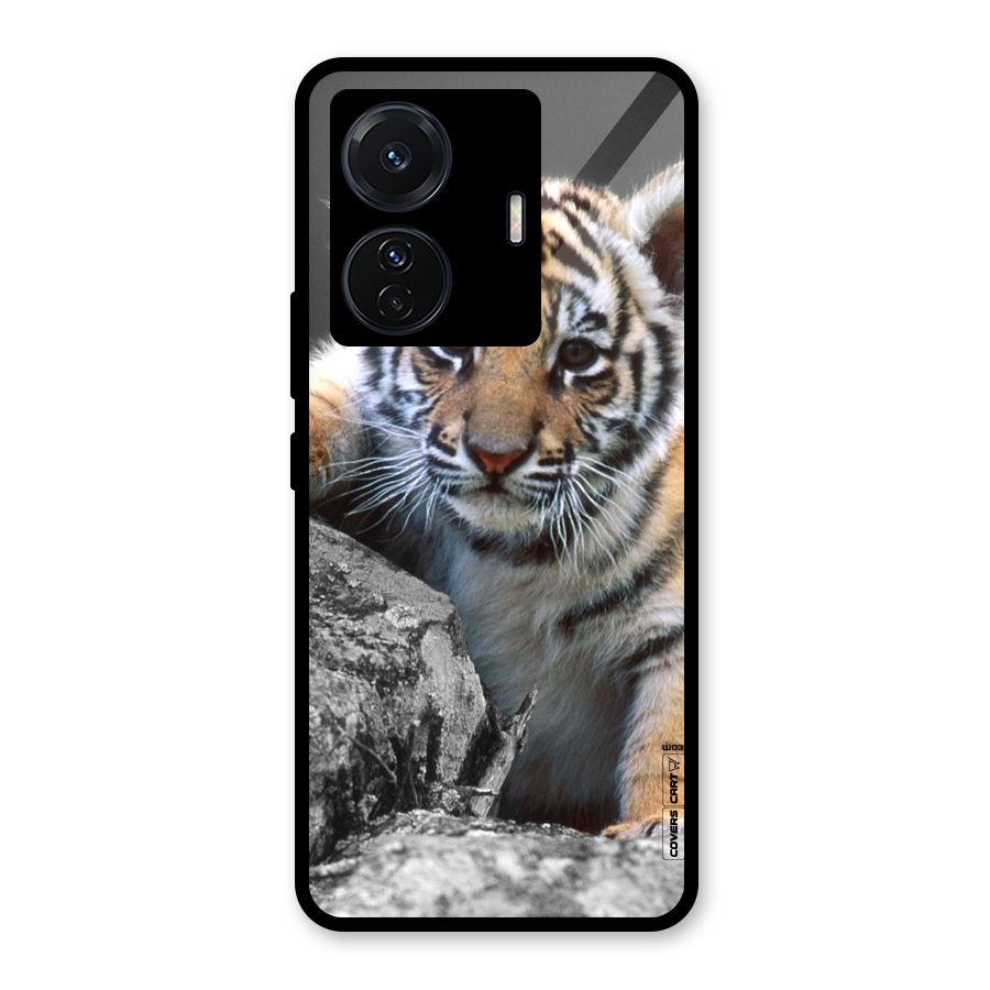 Animal Beauty Glass Back Case for Vivo iQOO Z6 Pro