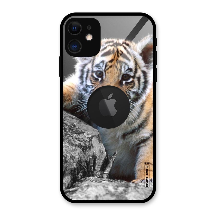 Animal Beauty Glass Back Case for iPhone 11 Logo Cut