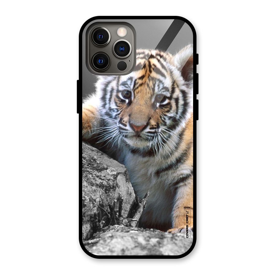 Animal Beauty Glass Back Case for iPhone 12 Pro
