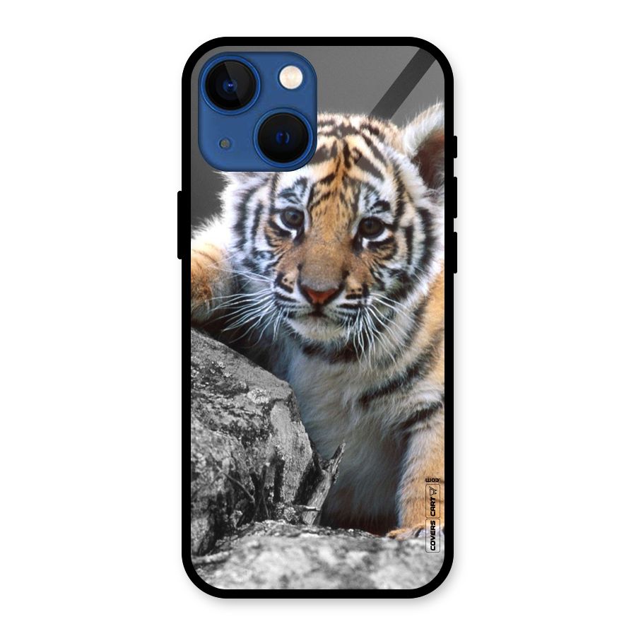 Animal Beauty Glass Back Case for iPhone 13 Mini