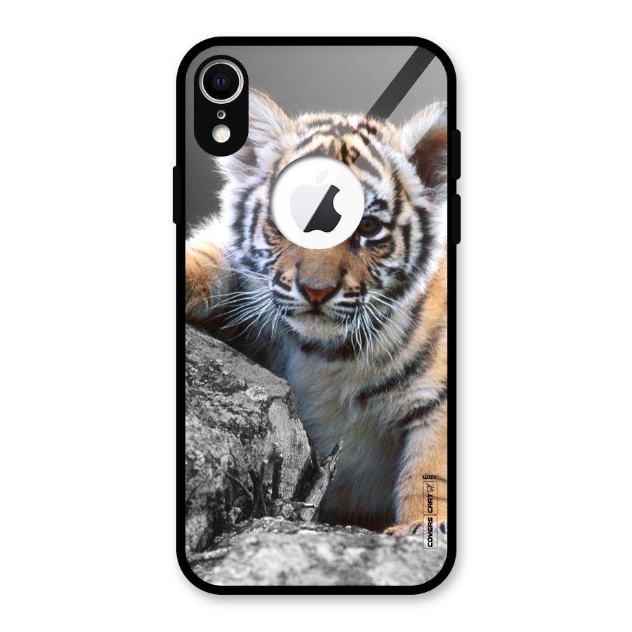 Animal Beauty Glass Back Case for iPhone XR Logo Cut