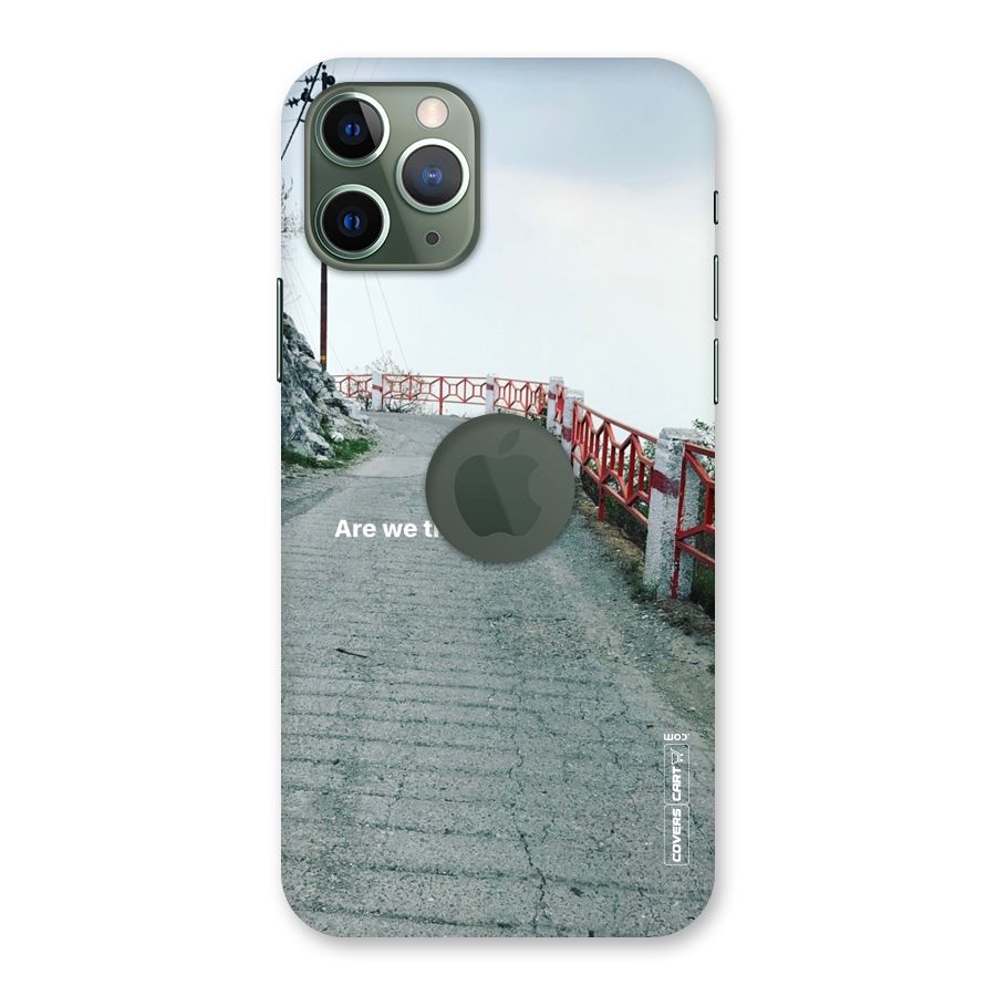 Are We There Yet Back Case for iPhone 11 Pro Logo  Cut