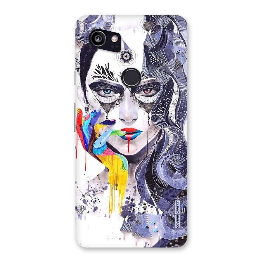 Astonishing Artwork Back Case for Google Pixel 2 XL