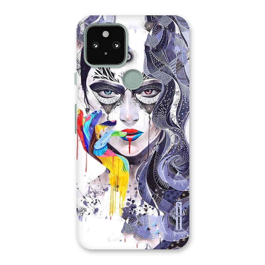 Astonishing Artwork Back Case for Google Pixel 5