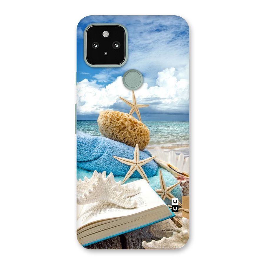 Beach Sky Back Case for Google Pixel 5