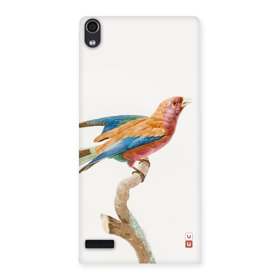 Beautiful Bird Back Case for Ascend P6