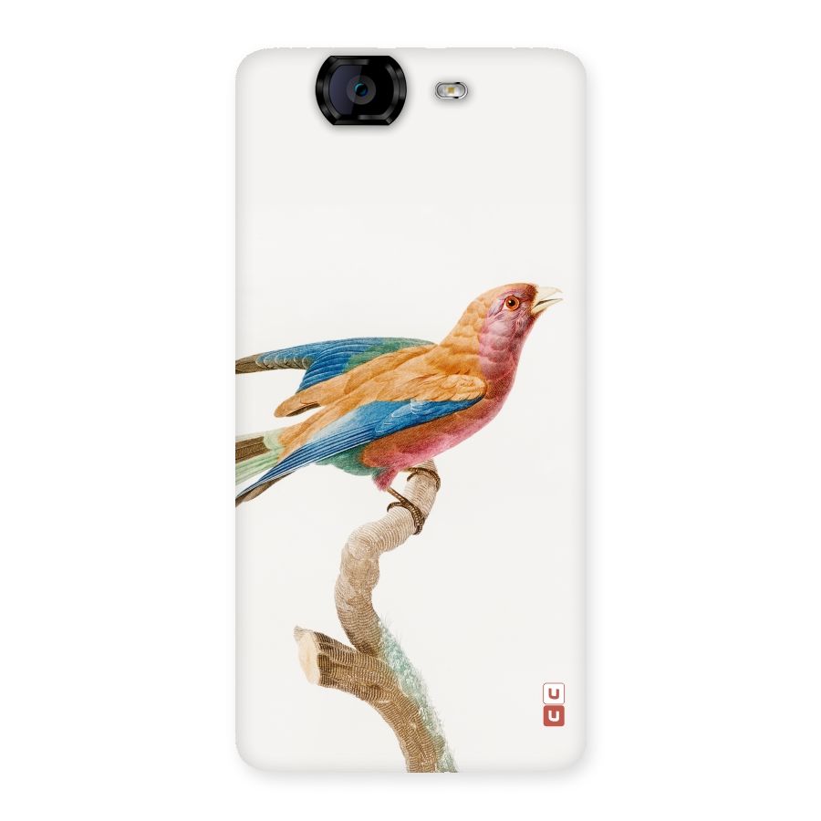 Beautiful Bird Back Case for Canvas Knight A350
