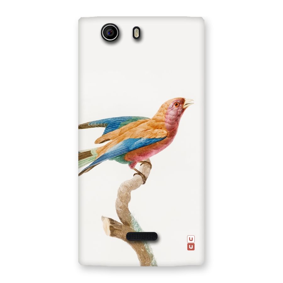 Beautiful Bird Back Case for Canvas Nitro 2 E311