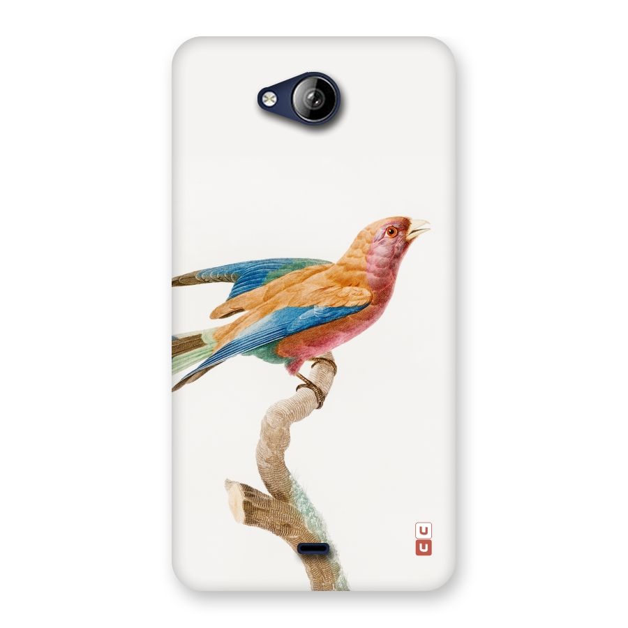 Beautiful Bird Back Case for Canvas Play Q355