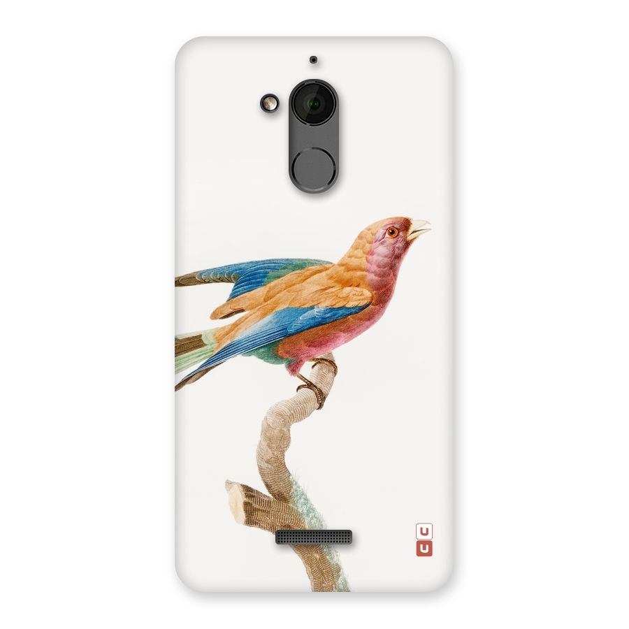 Beautiful Bird Back Case for Coolpad Note 5