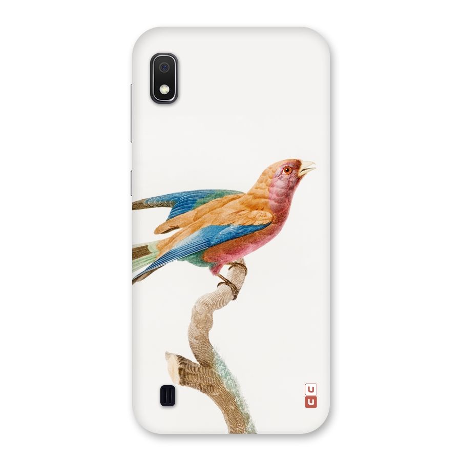 Beautiful Bird Back Case for Galaxy A10