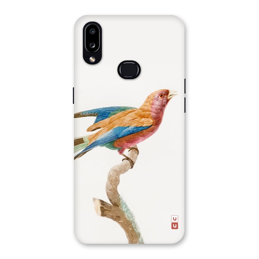 Beautiful Bird Back Case for Galaxy A10s
