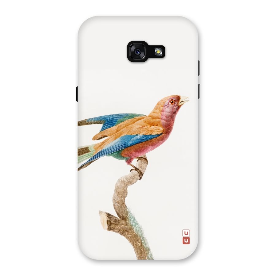 Beautiful Bird Back Case for Galaxy A7 (2017)
