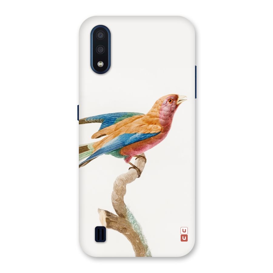 Beautiful Bird Back Case for Galaxy M01