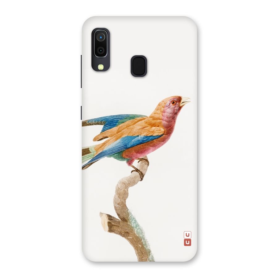 Beautiful Bird Back Case for Galaxy M10s