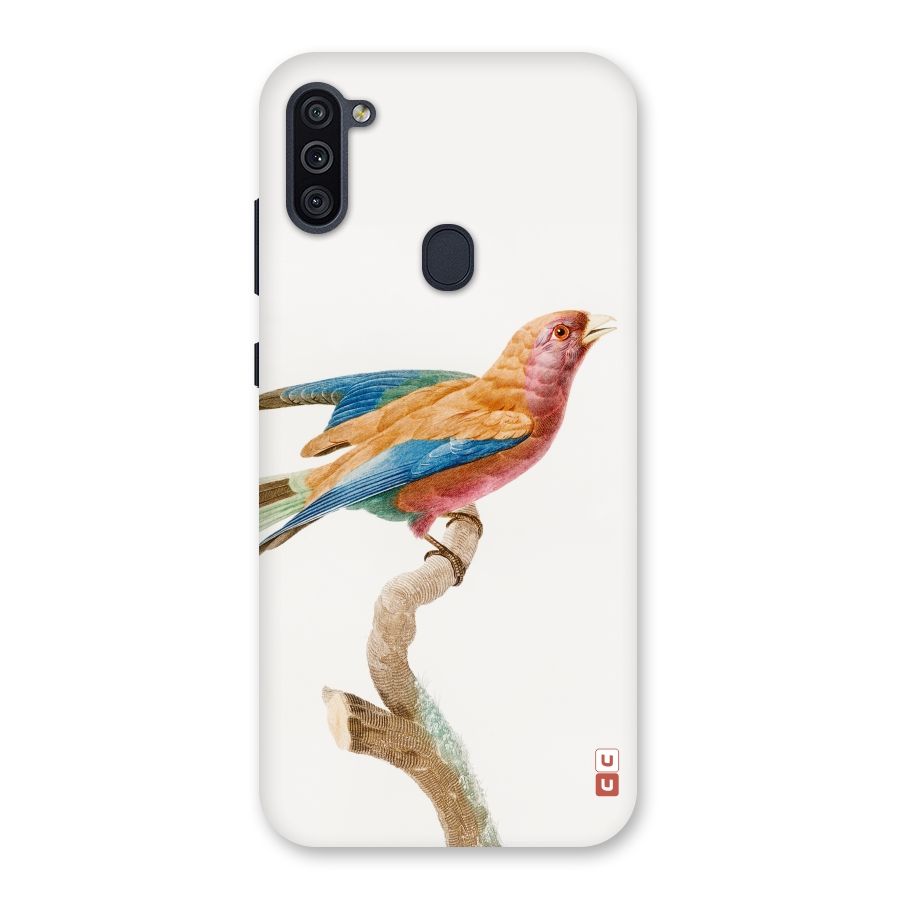 Beautiful Bird Back Case for Galaxy M11