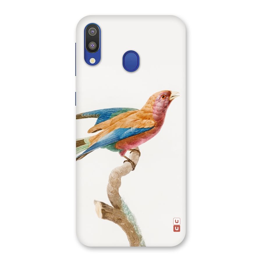 Beautiful Bird Back Case for Galaxy M20