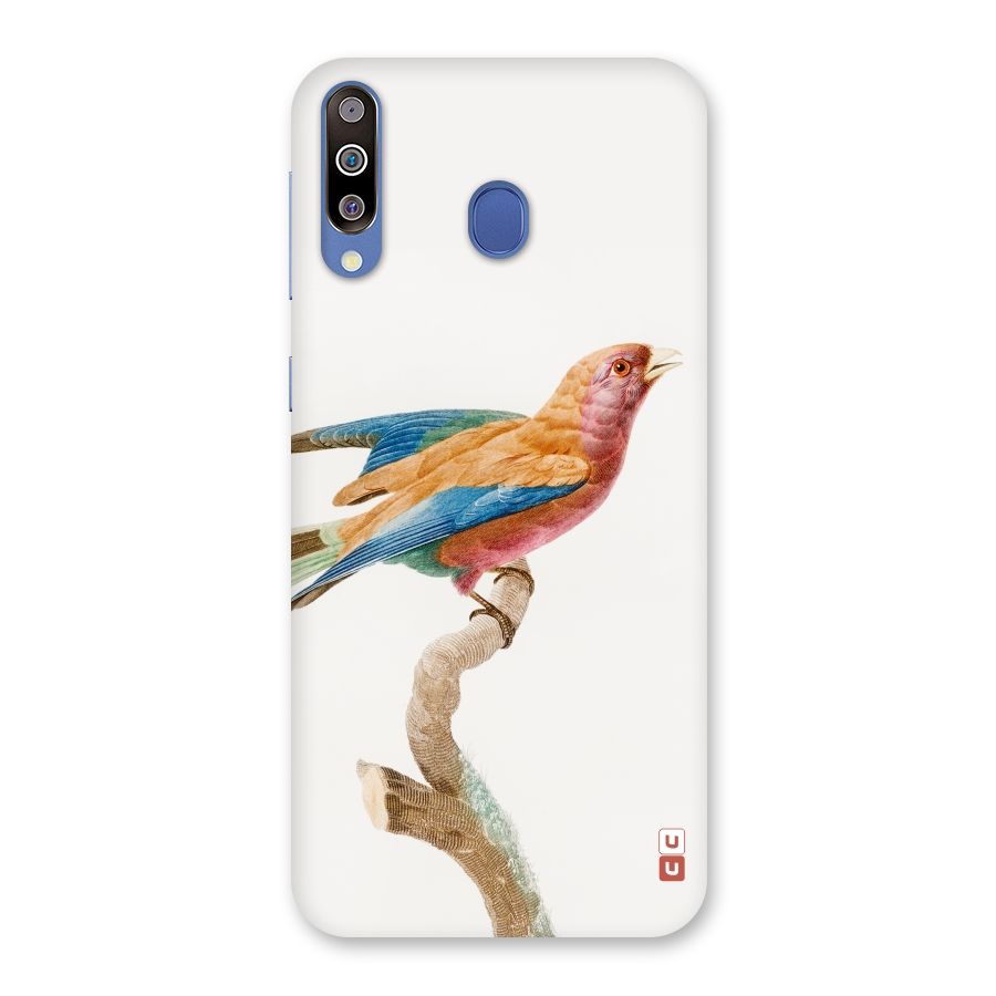 Beautiful Bird Back Case for Galaxy M30