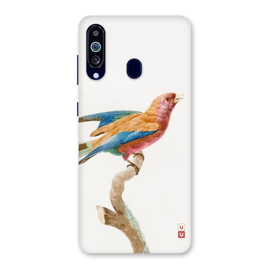 Beautiful Bird Back Case for Galaxy M40