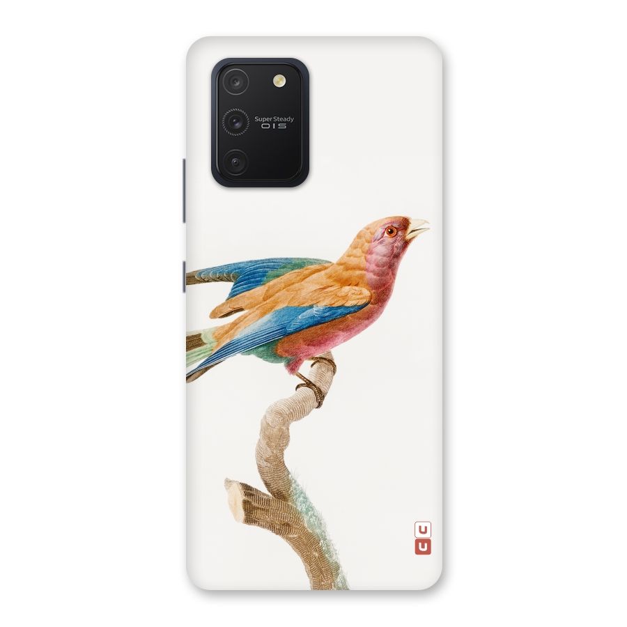 Beautiful Bird Back Case for Galaxy S10 Lite