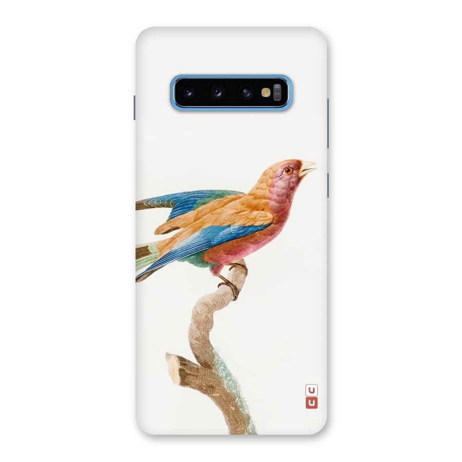Beautiful Bird Back Case for Galaxy S10 Plus