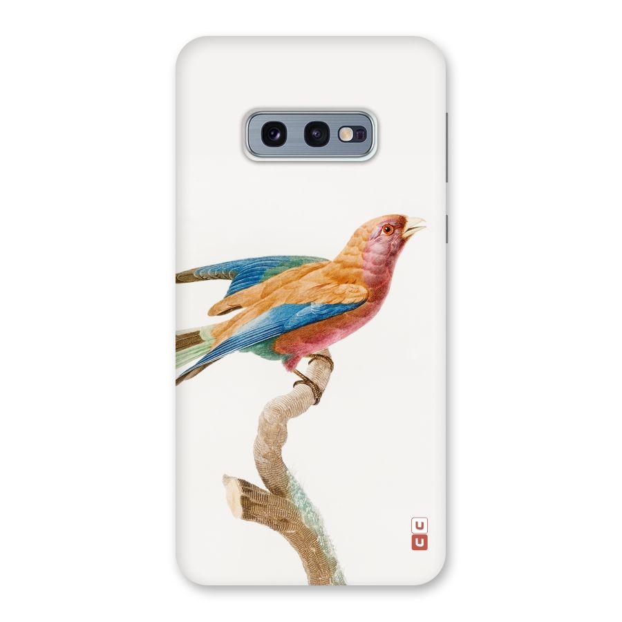 Beautiful Bird Back Case for Galaxy S10e