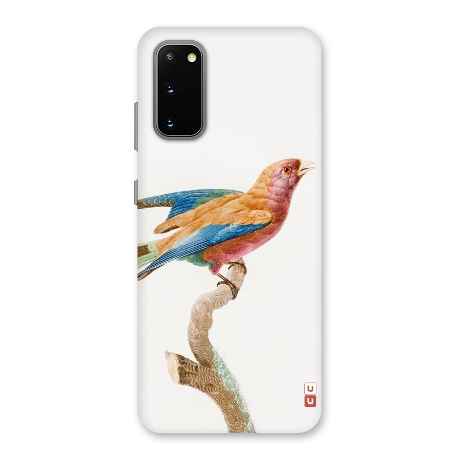 Beautiful Bird Back Case for Galaxy S20