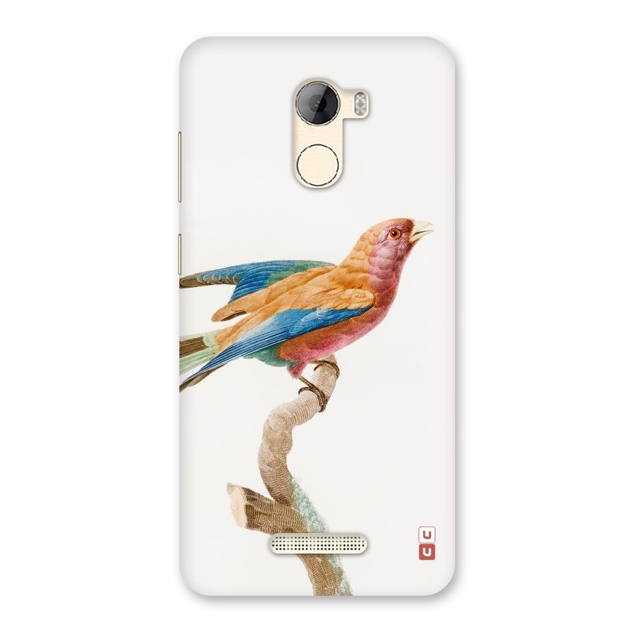 Beautiful Bird Back Case for Gionee A1 LIte