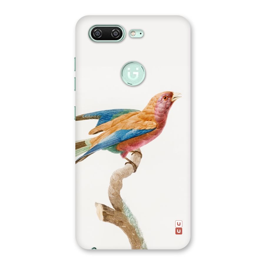 Beautiful Bird Back Case for Gionee S10