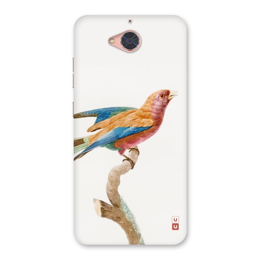 Beautiful Bird Back Case for Gionee S6 Pro