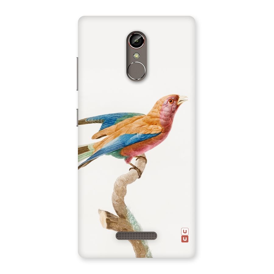 Beautiful Bird Back Case for Gionee S6s