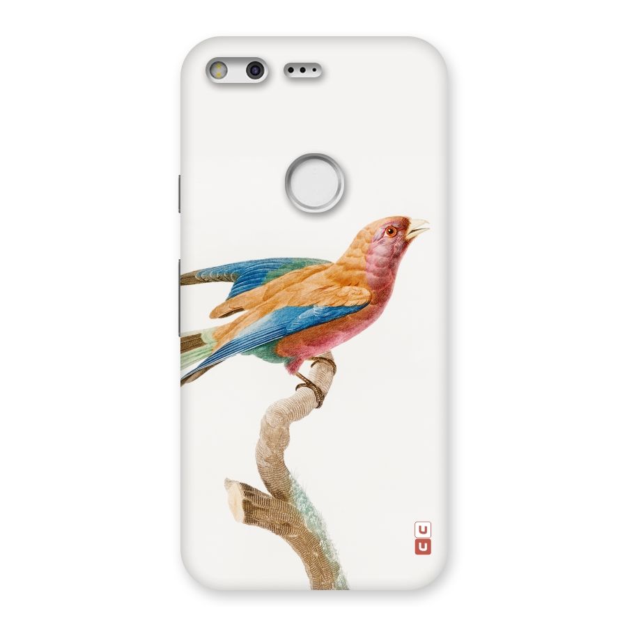 Beautiful Bird Back Case for Google Pixel