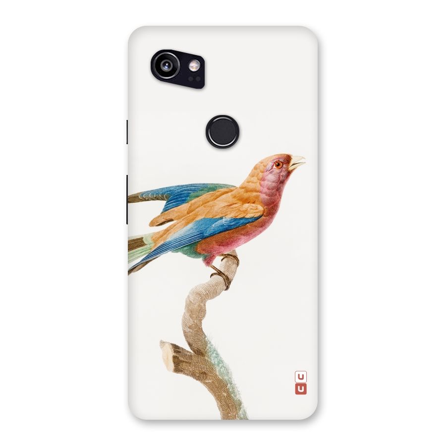 Beautiful Bird Back Case for Google Pixel 2 XL