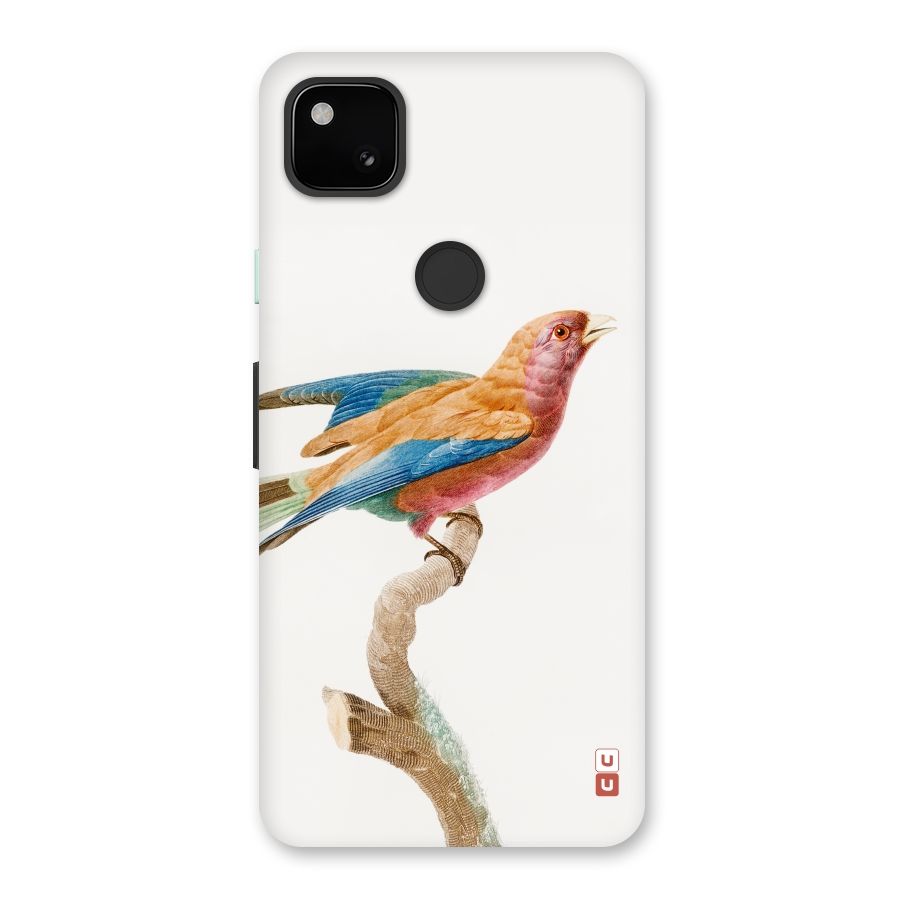 Beautiful Bird Back Case for Google Pixel 4a