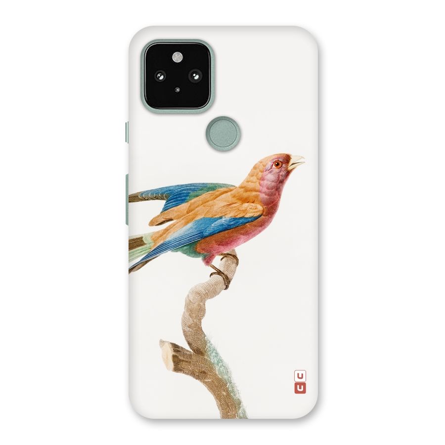 Beautiful Bird Back Case for Google Pixel 5