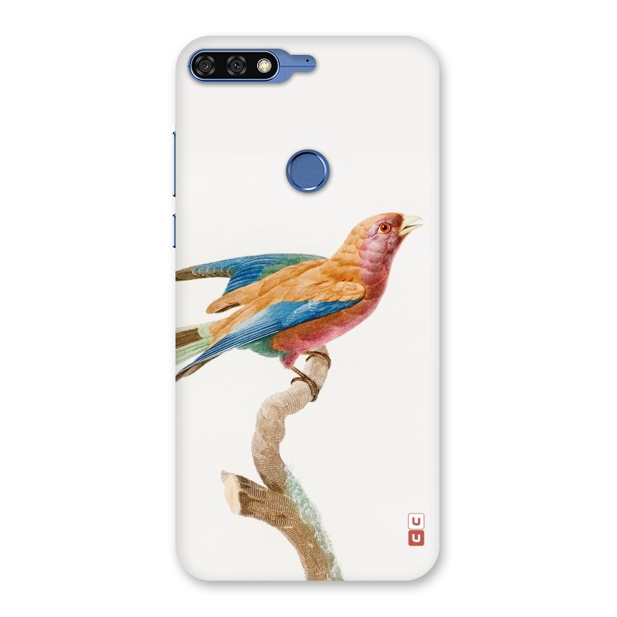 Beautiful Bird Back Case for Honor 7C