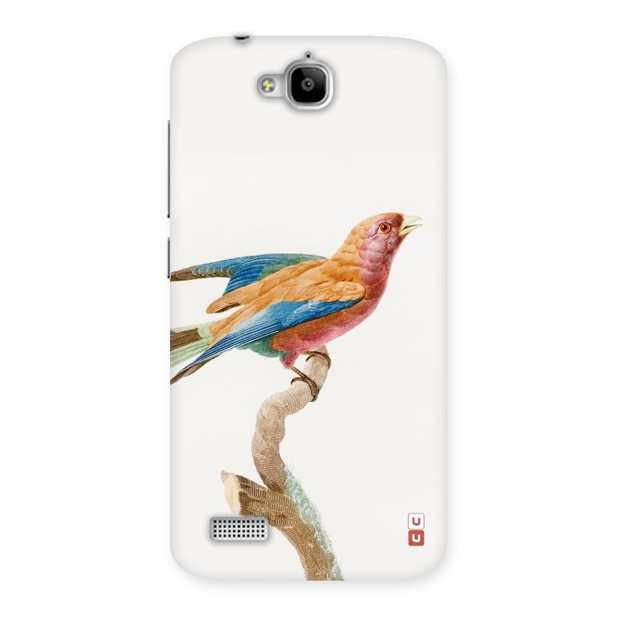 Beautiful Bird Back Case for Honor Holly