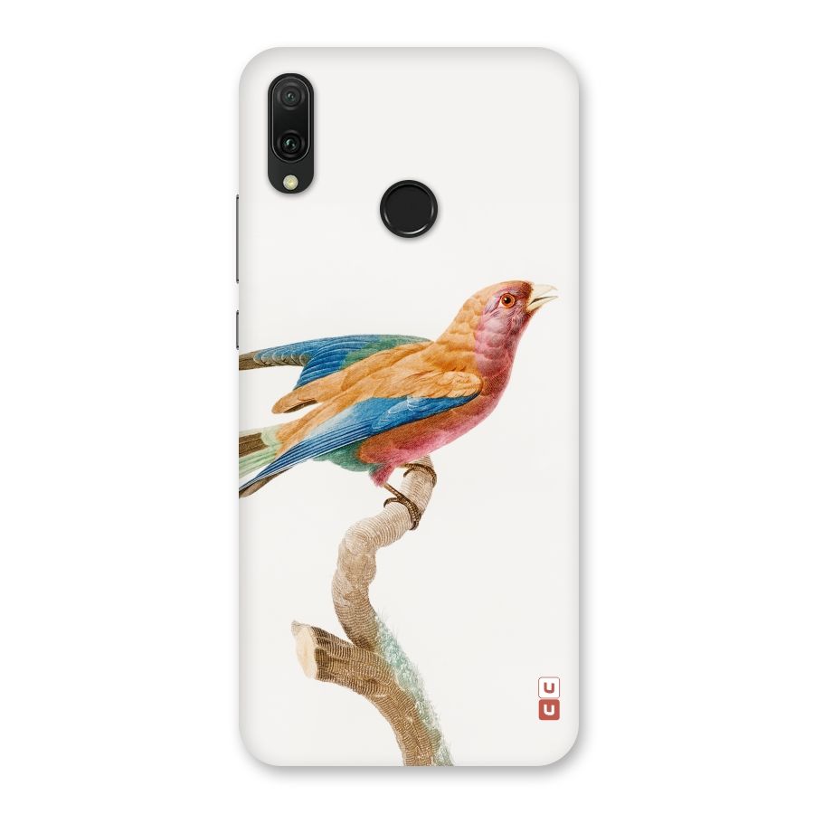 Beautiful Bird Back Case for Huawei Y9 (2019)