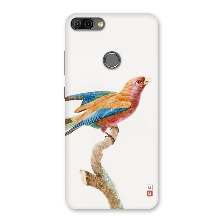 Beautiful Bird Back Case for Infinix Hot 6 Pro