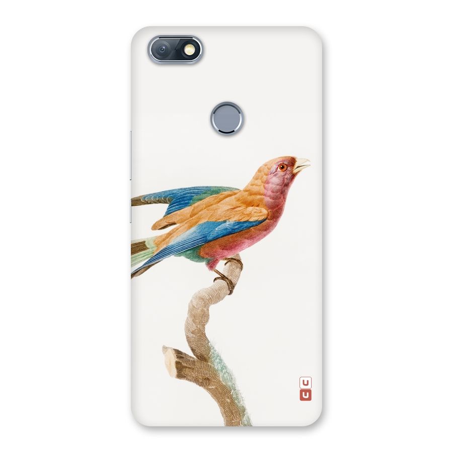 Beautiful Bird Back Case for Infinix Note 5