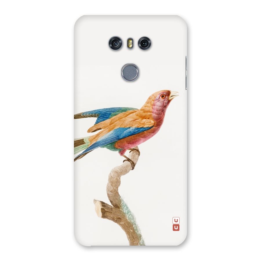 Beautiful Bird Back Case for LG G6