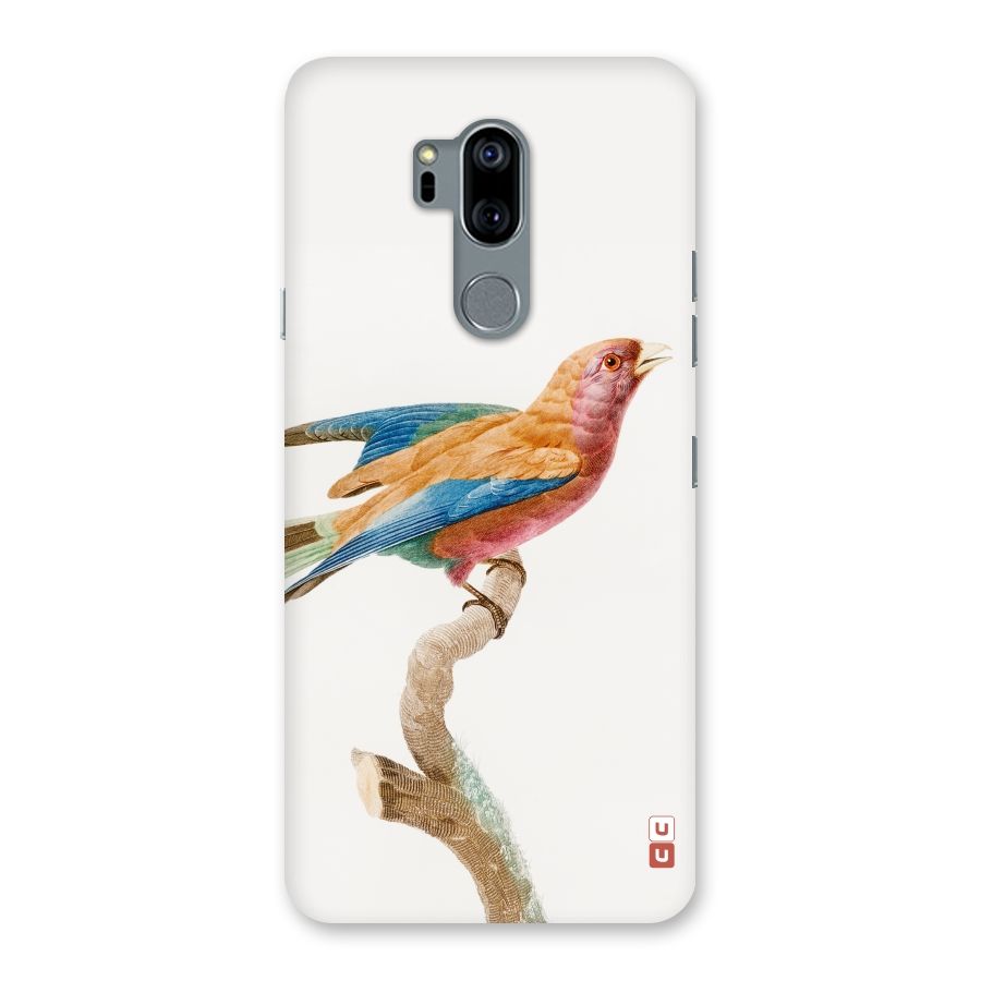 Beautiful Bird Back Case for LG G7