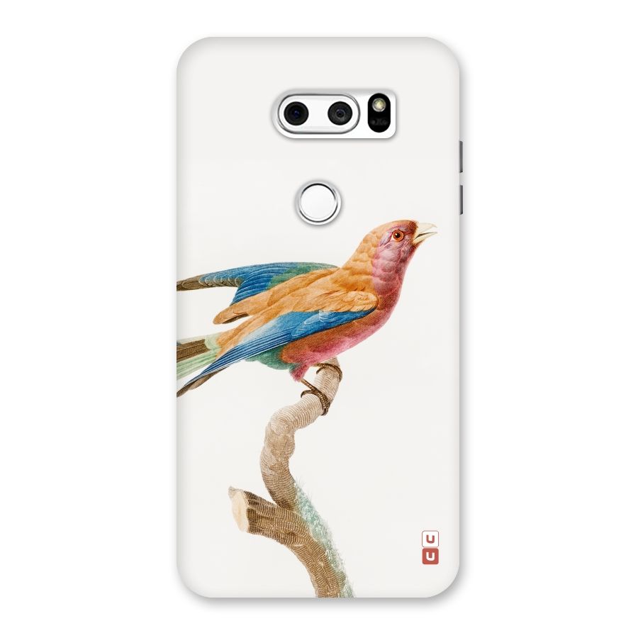Beautiful Bird Back Case for LG V30